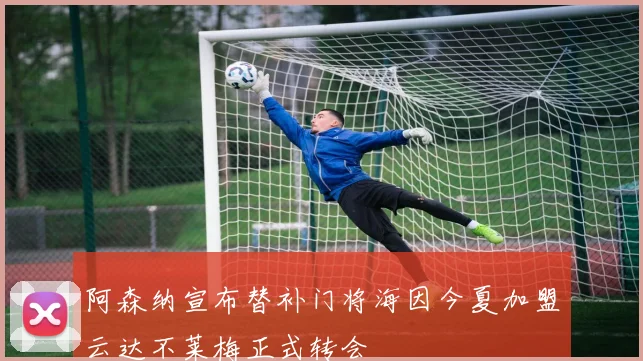 阿森纳宣布替补门将海因今夏加盟云达不莱梅正式转会