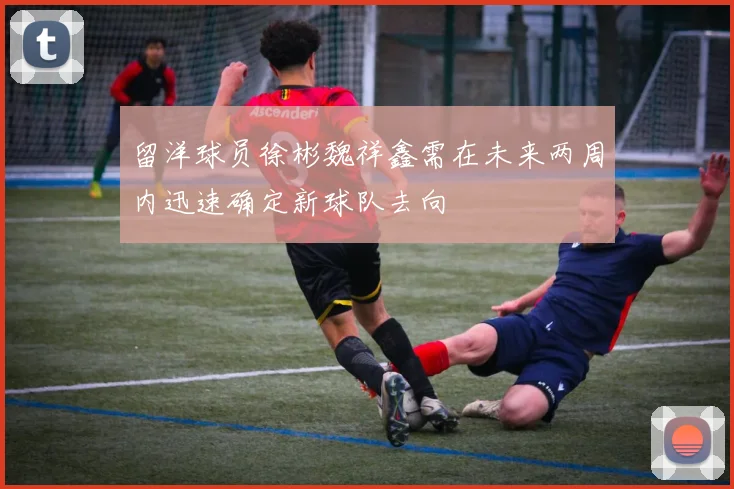 留洋球员徐彬魏祥鑫需在未来两周内迅速确定新球队去向