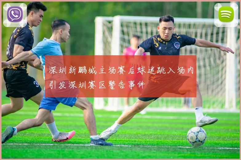 深圳新鹏城主场赛后球迷跳入场内引发深圳赛区警告事件